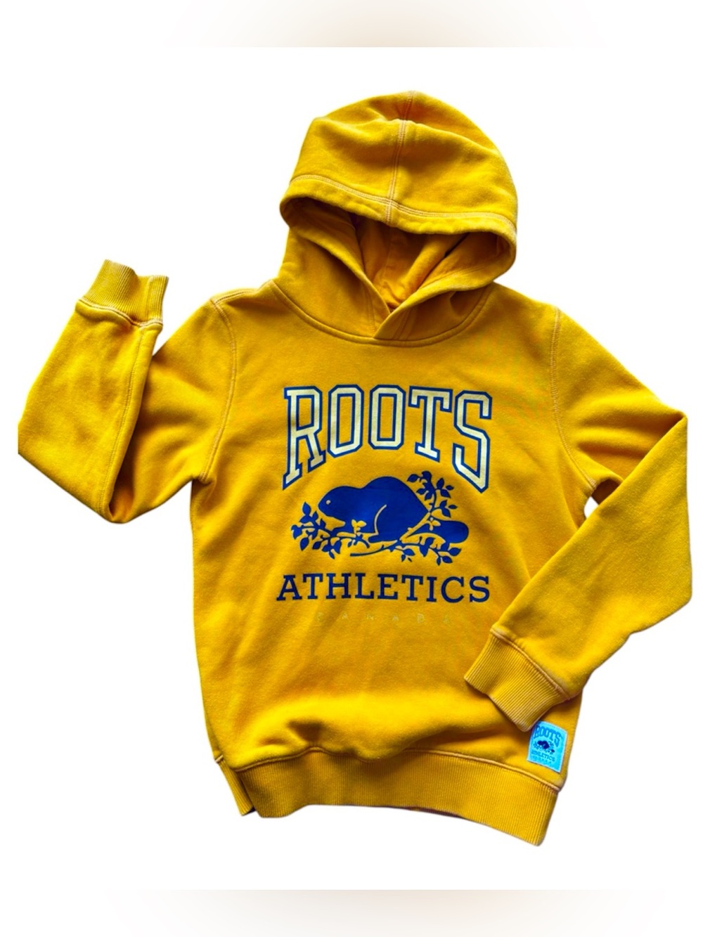 Roots Kids Hoodie